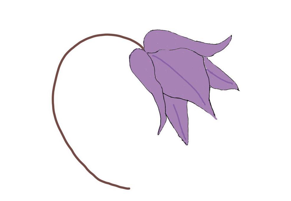 Report cover image Report cover image